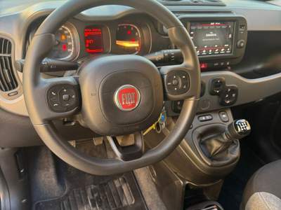 Fiat Panda Usato garantito usata Narni