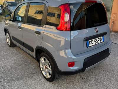 Fiat Panda Usato garantito usata Narni