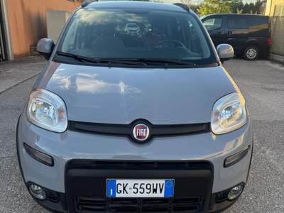 Fiat Panda Usato garantito usata Narni