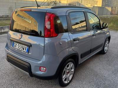 Fiat Panda Usato garantito usata Narni