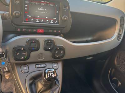 Fiat Panda Usato garantito usata Narni