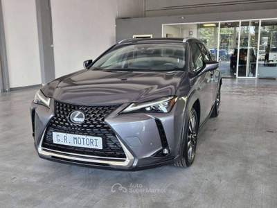 Lexus UX Premium 2wd Grigio usata Castegnato