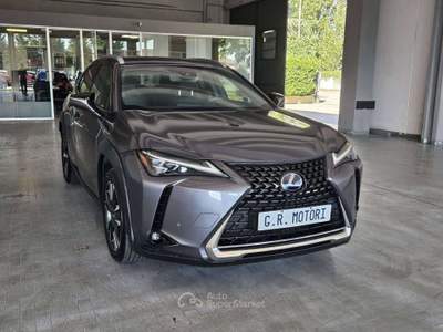 Lexus UX Premium 2wd Grigio usata Castegnato