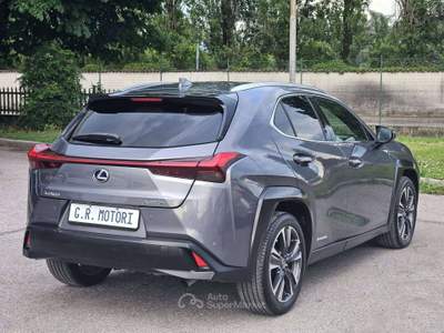 Lexus UX Premium 2wd Grigio usata Castegnato