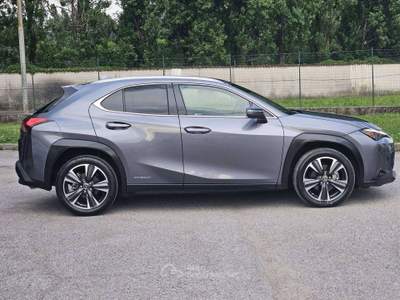 Lexus UX Premium 2wd Grigio usata Castegnato