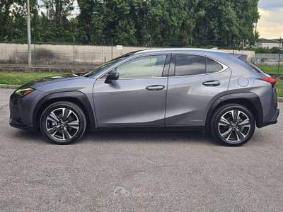 Lexus UX Premium 2wd Grigio usata Castegnato