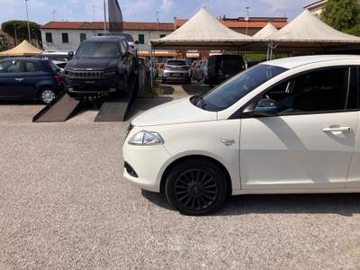 Lancia Ypsilon 1.2 69cv 5 Porte ELEFANTINO Bianco usata LIVORNO