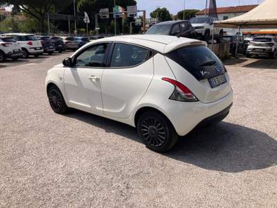 Lancia Ypsilon 1.2 69cv 5 Porte ELEFANTINO Bianco usata LIVORNO