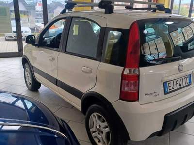 Fiat Panda 4X4 Bianco usata Follonica