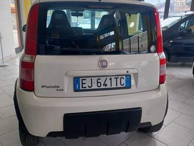 Fiat Panda 4X4 Bianco usata Follonica
