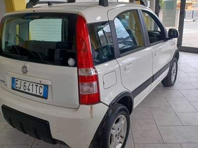 Fiat Panda 4X4 Bianco usata Follonica
