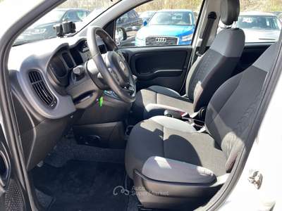 Fiat Panda 1.3 MTJ 4x4 2modelli disponibili EURO6 Bianco usata Potenza