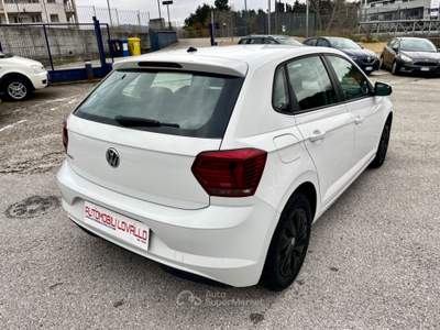 Volkswagen Polo Business 1.6 TDI 5p NEOPATENTATI Bianco usata Potenza