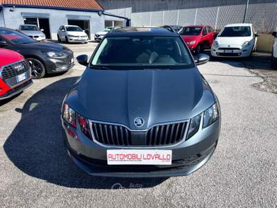 Skoda Octavia 1.6 TDI 115 CV Wagon Executive Argento usata Potenza