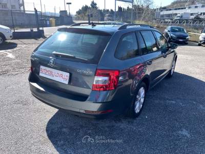 Skoda Octavia 1.6 TDI 115 CV Wagon Executive Argento usata Potenza