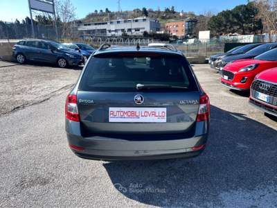 Skoda Octavia 1.6 TDI 115 CV Wagon Executive Argento usata Potenza
