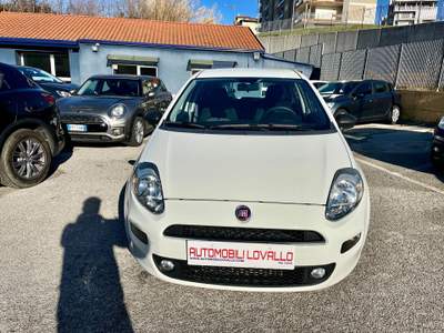 Fiat Punto 1.3 MTJ 95 CV 5 p NAVI-2018 Bianco usata Potenza