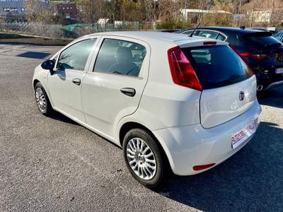 Fiat Punto 1.3 MTJ 95 CV 5 p NAVI-2018 Bianco usata Potenza