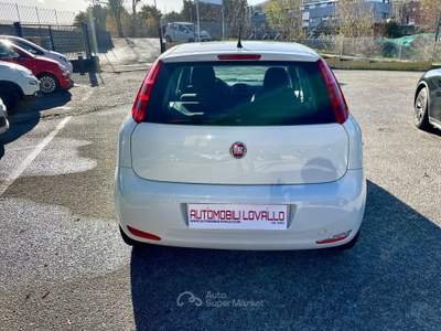 Fiat Punto 1.3 MTJ 95 CV 5 p NAVI-2018 Bianco usata Potenza