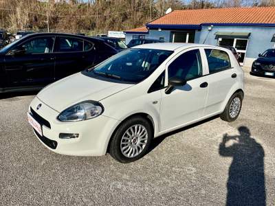 Fiat Punto 1.3 MTJ 95 CV 5 p NAVI-2018 Bianco usata Potenza