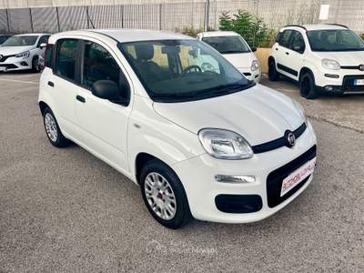 Fiat Panda 1.2 FIRE GPL CASA MADRE 2019 UNICO PROPRIETARIO Bianco usata Potenza