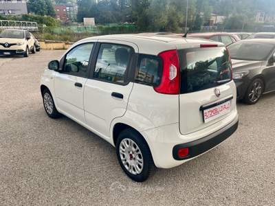 Fiat Panda 1.2 FIRE GPL CASA MADRE 2019 UNICO PROPRIETARIO Bianco usata Potenza