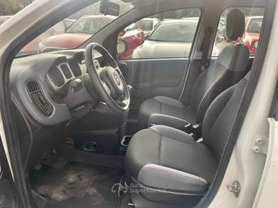 Fiat Panda 1.2 FIRE GPL CASA MADRE 2019 UNICO PROPRIETARIO Bianco usata Potenza