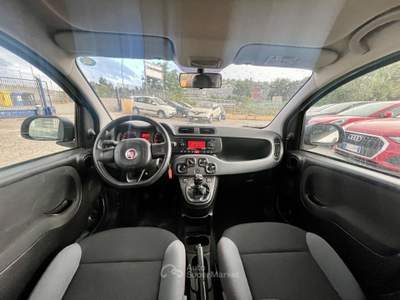 Fiat Panda 1.2 FIRE GPL CASA MADRE 2019 UNICO PROPRIETARIO Bianco usata Potenza