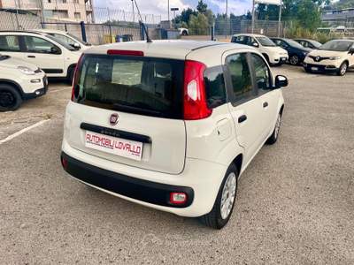 Fiat Panda 1.2 FIRE GPL CASA MADRE 2019 UNICO PROPRIETARIO Bianco usata Potenza