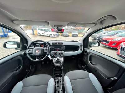 Fiat Panda 0.9 TWINAIR 4x4 IMM.11-2020 Bianco usata Potenza