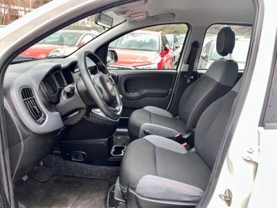 Fiat Panda 0.9 TWINAIR 4x4 IMM.11-2020 Bianco usata Potenza