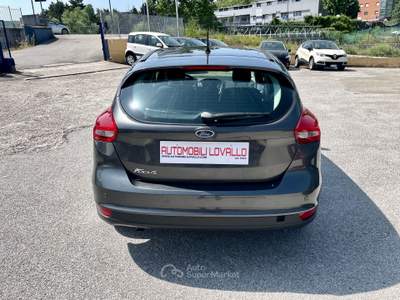 Ford Focus 1.5 TDCI 105cv 6M 5PORTE Grigio usata Potenza