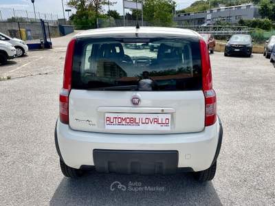Fiat Panda 1.3 MJT 4x4 BLOCCAGGIO DIFF.-5POSTI Bianco usata Potenza