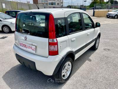 Fiat Panda 1.3 MJT 4x4 BLOCCAGGIO DIFF.-5POSTI Bianco usata Potenza
