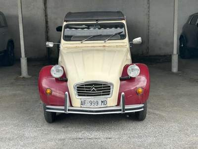 Citroen 2CV 6 Charleston Giallo usata Massarosa