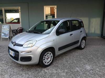 Fiat Panda Fiat Panda GPL Argento usata Cerea