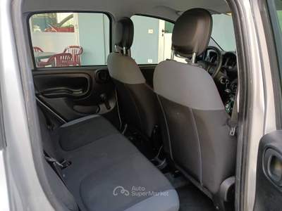 Fiat Panda Fiat Panda GPL Argento usata Cerea