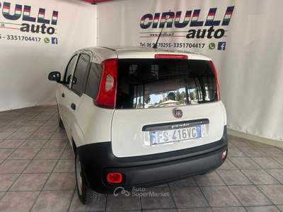 Fiat Panda 1.2 Pop Van 2 posti Bianco usata San Cesareo