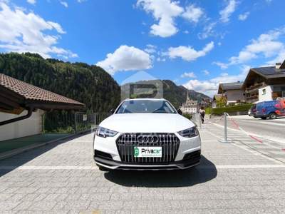 Audi A4 AUDI A4 allroad 3.0 TDI 272 CV tiptronic Business Evolution Bianco usata Trento