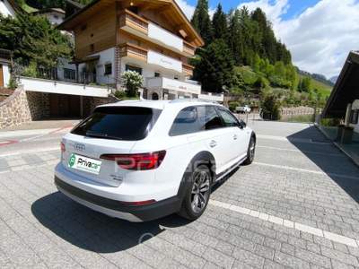 Audi A4 AUDI A4 allroad 3.0 TDI 272 CV tiptronic Business Evolution Bianco usata Trento