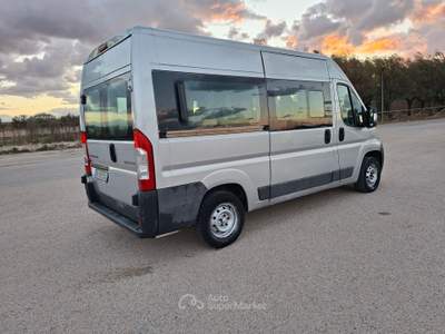 Peugeot Boxer Peugeot boxer 9 posti usata Molfetta