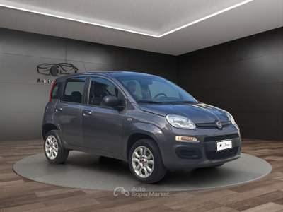 Fiat Panda 0.9 t.air t. natural power Easy 80cv Grigio usata Moncalieri