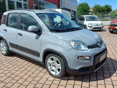 Fiat Panda 1.0 FireFly S&S Hybrid  Unico Proprietario Grigio usata Civitella in Val di Chiana