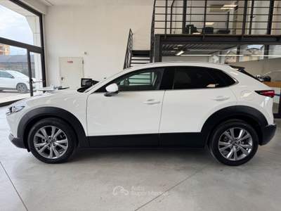 Mazda CX-30 2.0 m-hybrid Executive Appearance Pack 2wd 150cv 6mt Bianco usata Pollenza
