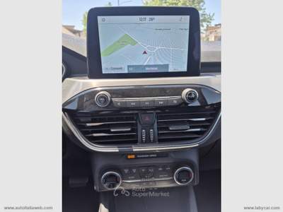 Ford Kuga Kuga 1.5 EcoBlue 120 CV 2WD ST-Line X usata Monteiasi