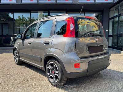Fiat Panda 1.0 firefly HYBRID *CITY LIFE* - 49.000KM Grigio usata Torino
