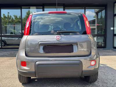 Fiat Panda 1.0 firefly HYBRID *CITY LIFE* - 49.000KM Grigio usata Torino