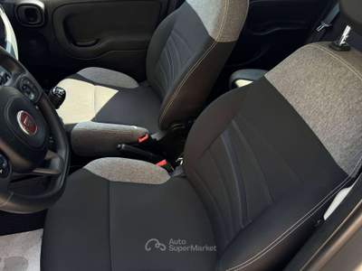 Fiat Panda 1.0 firefly HYBRID *CITY LIFE* - 49.000KM Grigio usata Torino