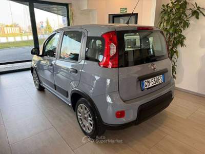 Fiat Panda Panda1.0 firefly hybrid s Grigio usata Gaglianico