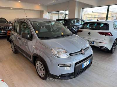 Fiat Panda Panda1.0 firefly hybrid s Grigio usata Gaglianico